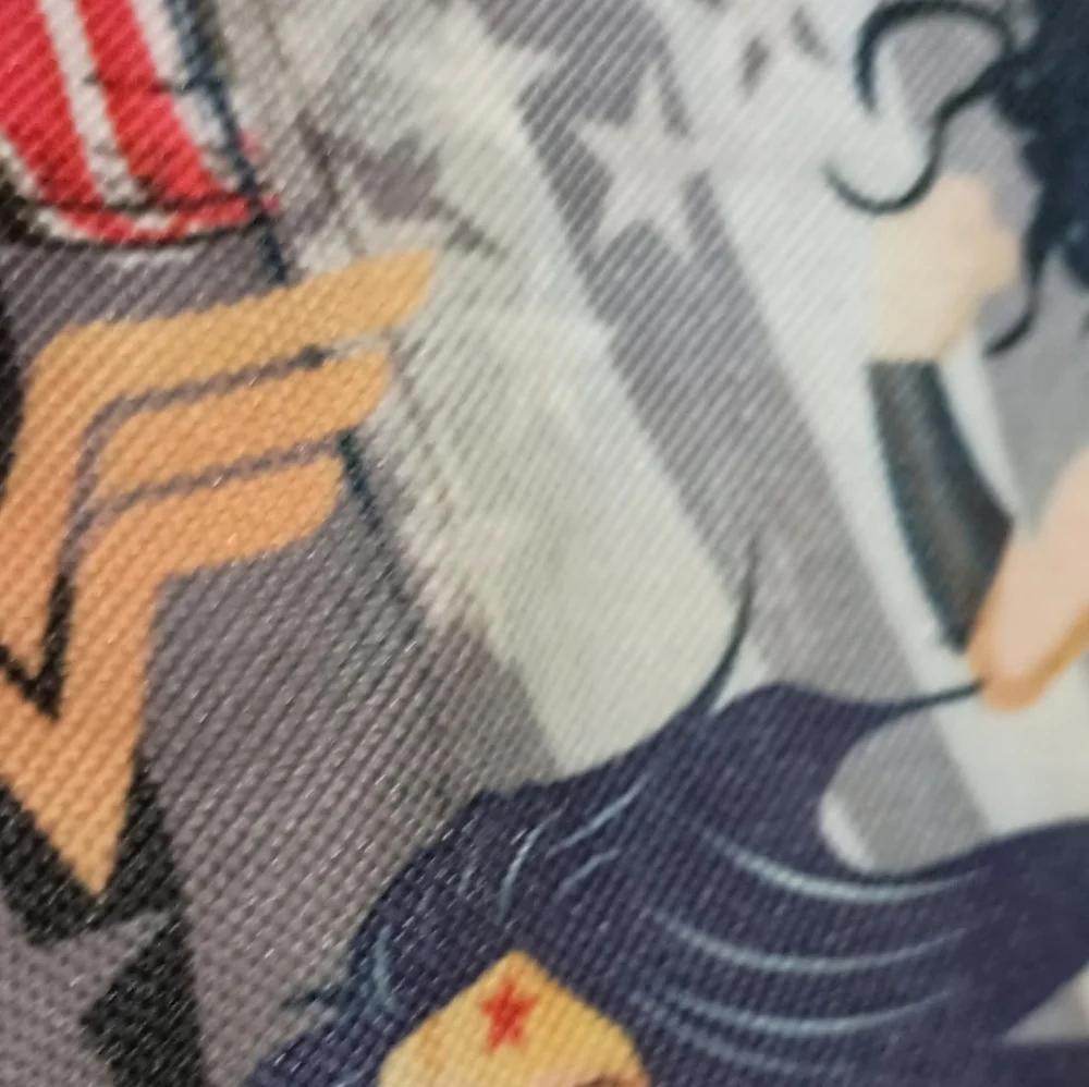 A Wonder Woman large backpack. EUC. All zippers and pockets work.